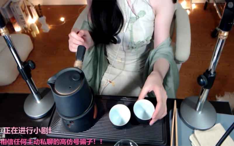 婉儿别闹汉化版最新更新内容深度解析