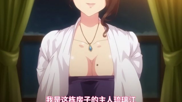 邪娠娼馆绅士游戏实战经验与优化建议