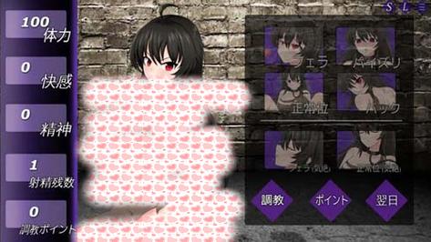 奴隶训练游戏下载实战经验与优化建议