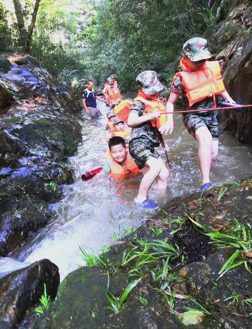 探索精灵谷：一个充满幻想与冒险的游戏世界