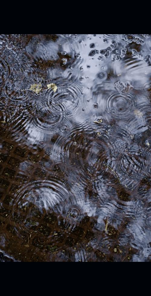 雨季最新版本：体验虚拟世界的别样魅力