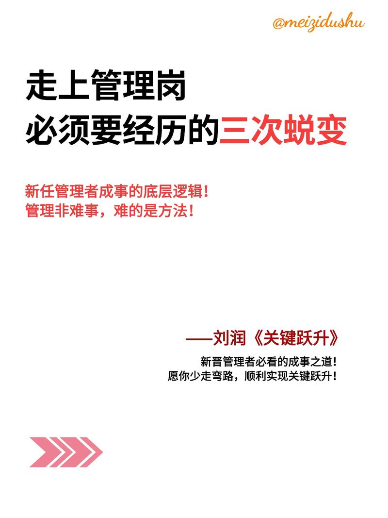 职场高升更新日志：新篇章的开启与未来的挑战