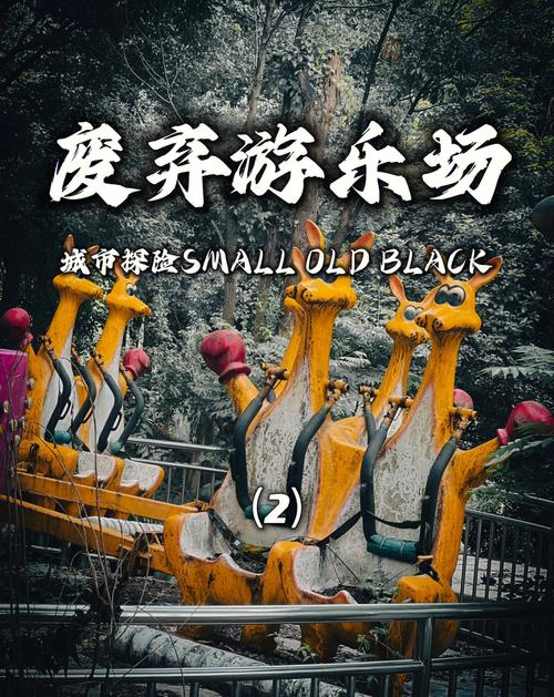 探索烂漫游戏的乐趣与策略：从新手到高手的心路历程