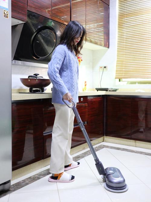 家务最新:在日常生活中发现游戏的乐趣