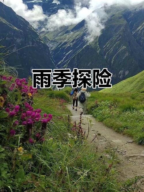 探索雨季：你可以在哪下载这款引人入胜的游戏？