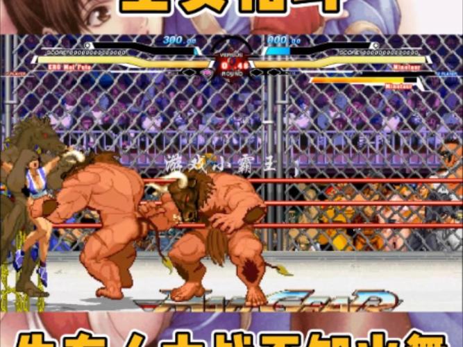 探索全女格斗更新地址的魅力与乐趣