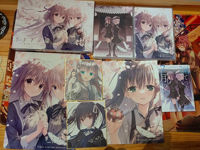 探寻樱之刻下载地址的秘密与游戏魅力