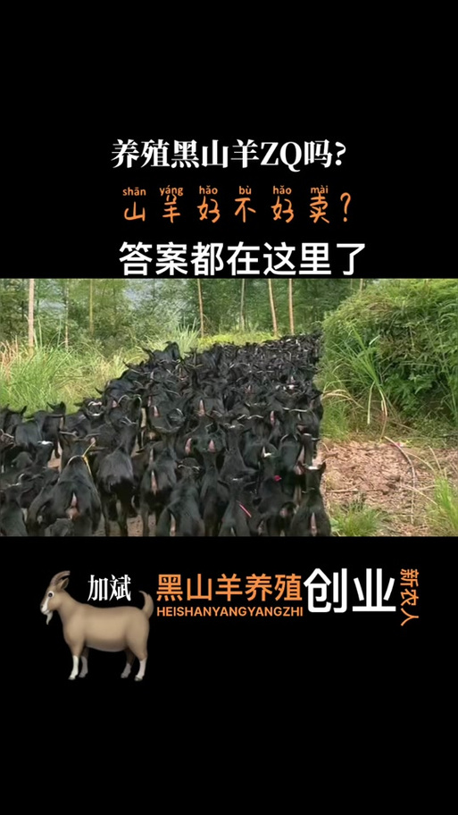 黑山羊之夜汉化版下载：探索绅士游戏的隐秘魅力