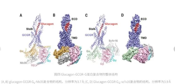 全面解析D-Hospital安卓游戏实用教程