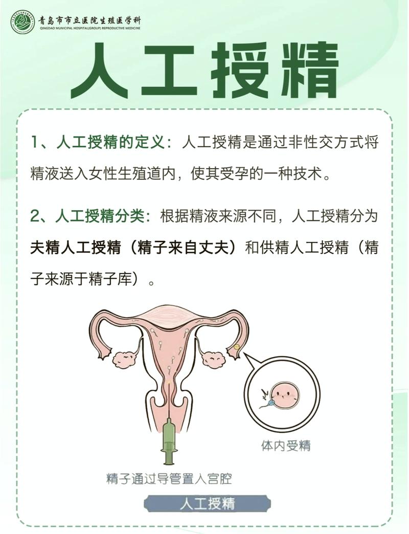 如何下载和安装《子产岛after 木乃美的柔软运动》官方正式版最新版教程