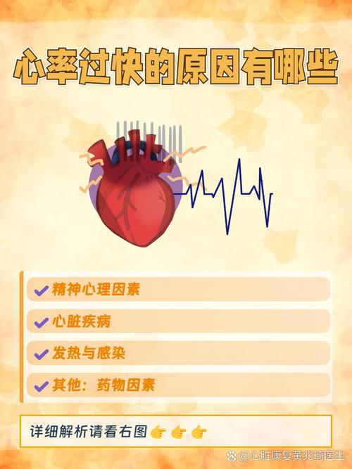 心脏问题的深度分析：官方网站的重要性与资源利用