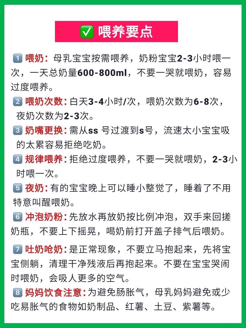 详细教程：如何在2月28日下载jinricp