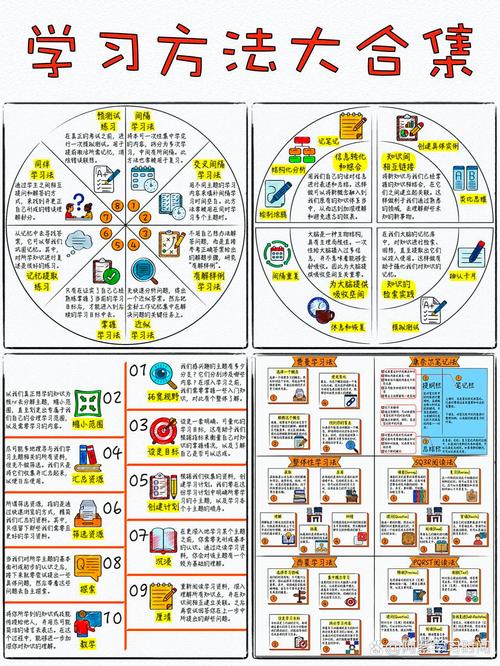 如何高效使用“我的大学生活S1-S2官网”：实用教程
