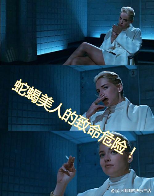 本能释放最新版本的深入分析与展望