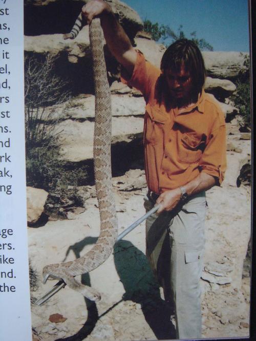 Cage of Tentacles安卓游戏实用教程：新手玩家的必备指南