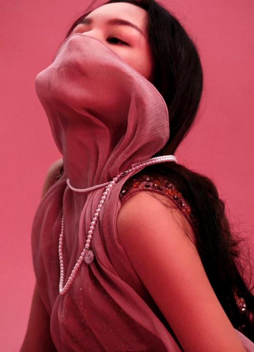 红色面纱安卓：深度剖析绅士游戏的魅力与潜力