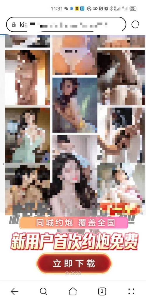 深度解析涩情手机官网：绅士游戏领域的前景与挑战