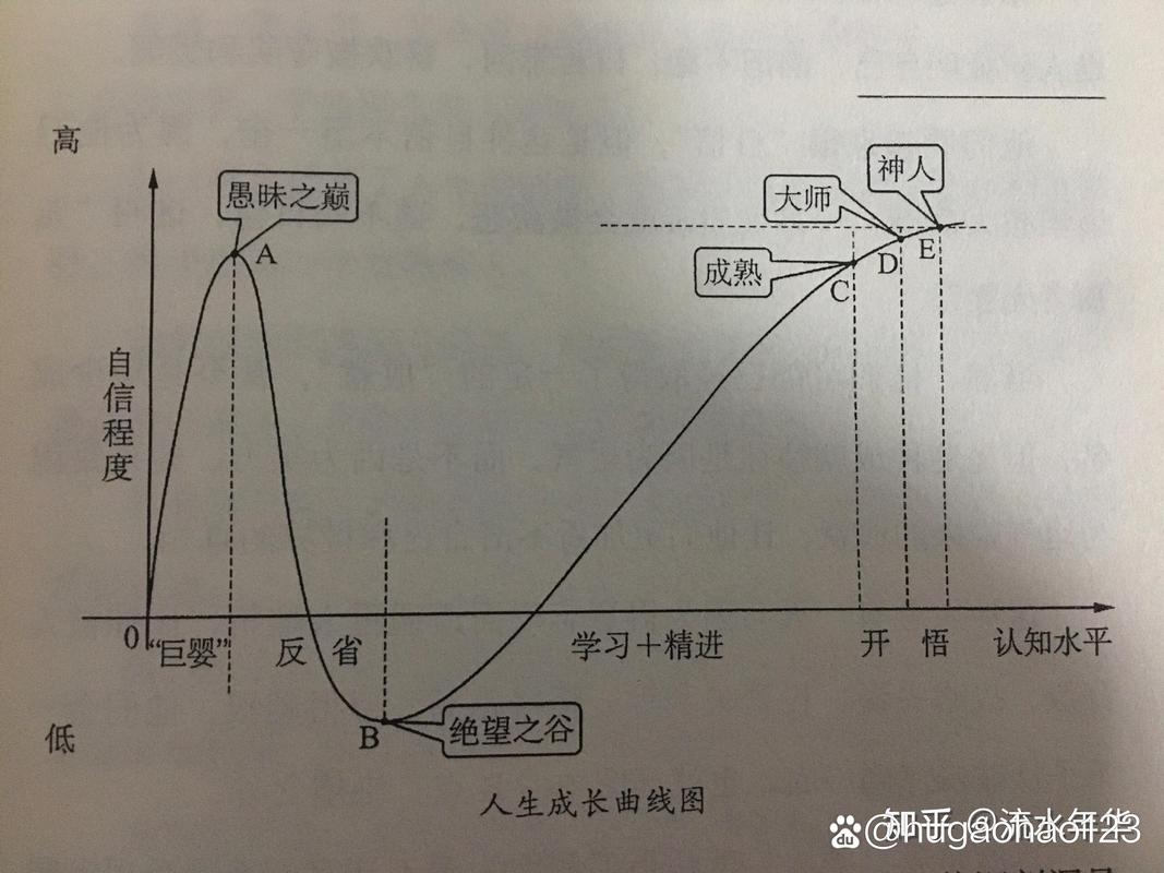 深度分析：成长之路汉化版下载的影响与前景