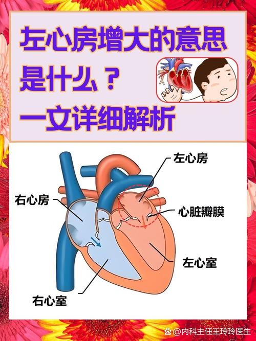解析心脏问题：最新版本的深度分析与解决方案