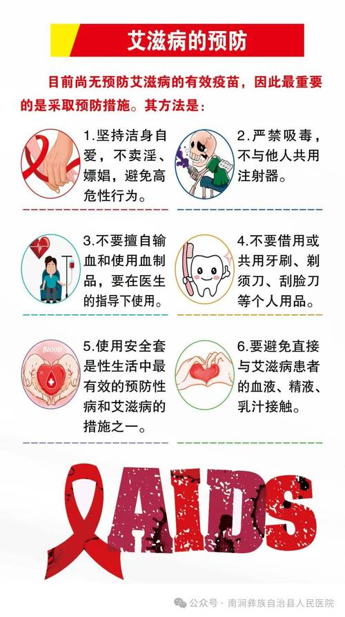 全面解读：如何访问艾蜜莉的堕落轮回官方网站