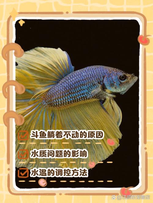 深入分析：斗鱼溪子游戏下载的市场潜力与用户体验