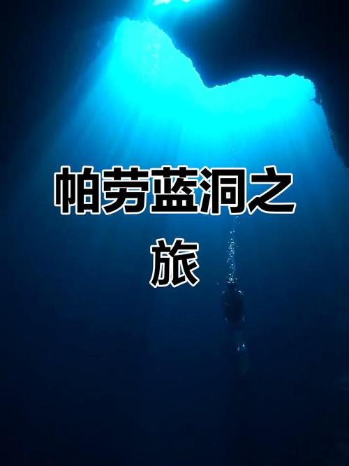 深度解析：蓝洞计划游戏攻略的战略与技巧