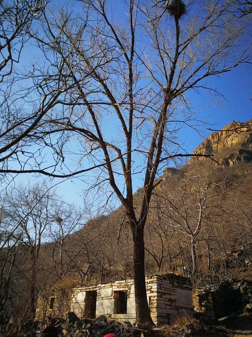 风谷生活在哪下载：探索这一新兴游戏的获取渠道与体验