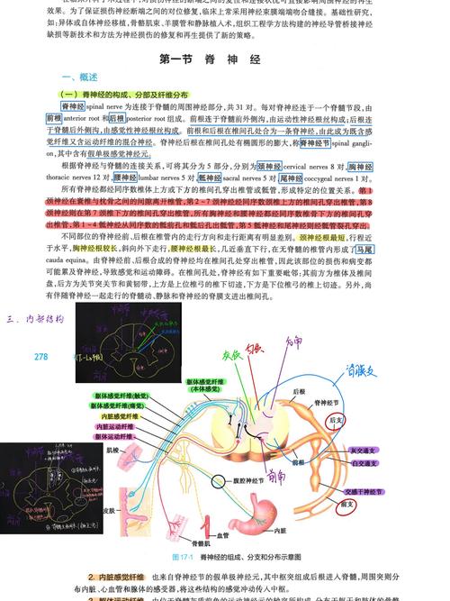 全面解析D-Hospital安卓游戏实用教程