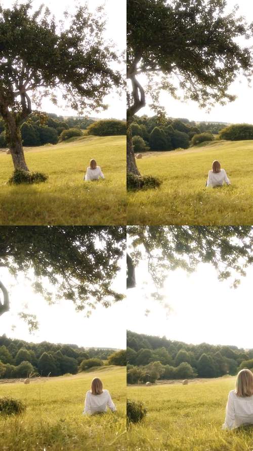 深度解析“宁静草地”：下载地址与游戏体验的结合