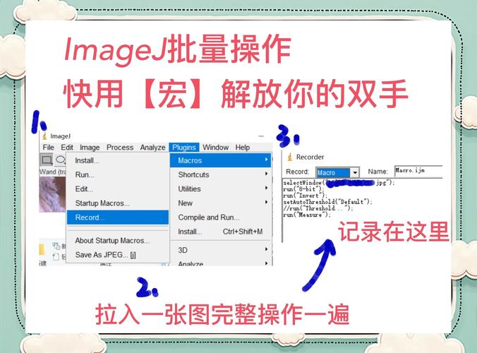 如何使用项目Project游戏官网进行游戏体验的完全指南