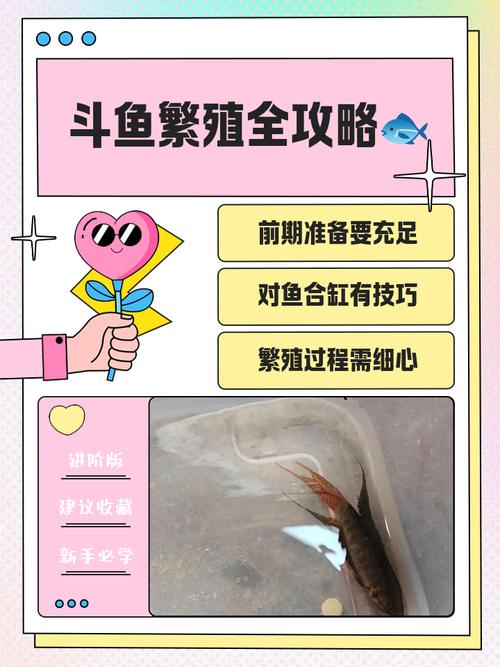 斗鱼溪子游戏深度分析及其市场潜力