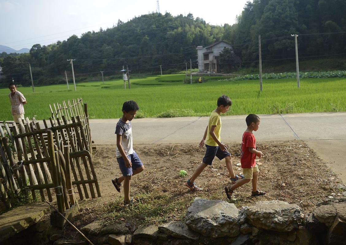 乡村生活的快乐暑假汉化版下载实用教程