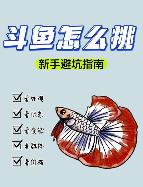 深入分析：斗鱼溪子游戏下载的市场潜力与用户体验