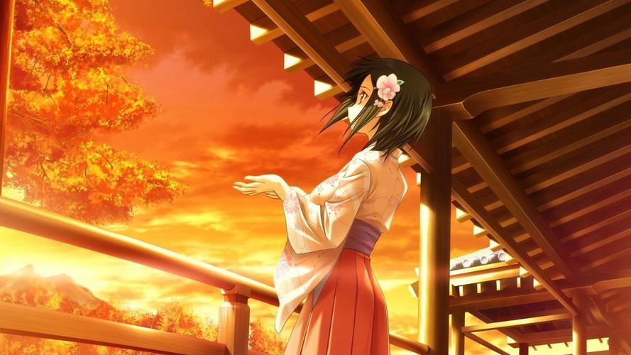 探索神社的大穴：绅士游戏的深度分析与下载途径