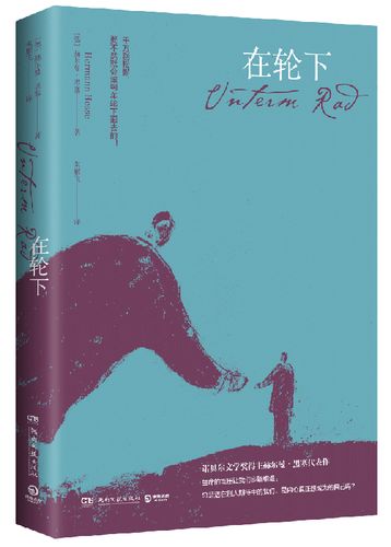 《The Heiress杨过游戏》实用教程：新手指南与技巧