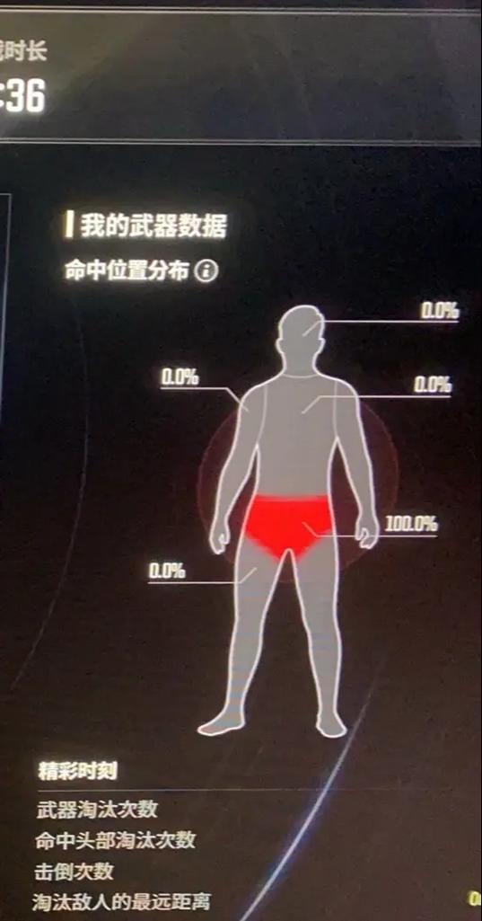 深入分析《盯档猫》更新日志：新功能与游戏体验的重大变革