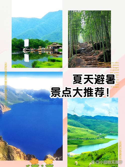 夏日风情官方网站：深度分析与市场潜力评估