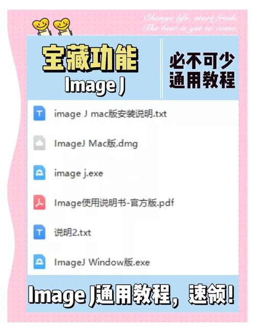 如何使用项目Project游戏官网进行游戏体验的完全指南