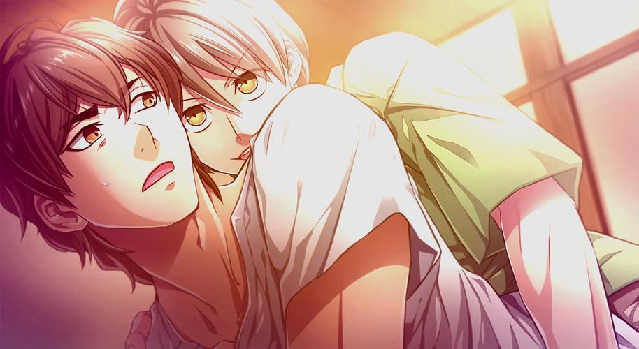 充满色气的同居生活游戏教程：新手必看指南