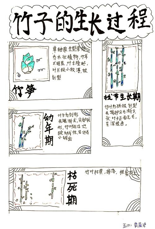 探索竹内的旅程：最新版本及其影响分析