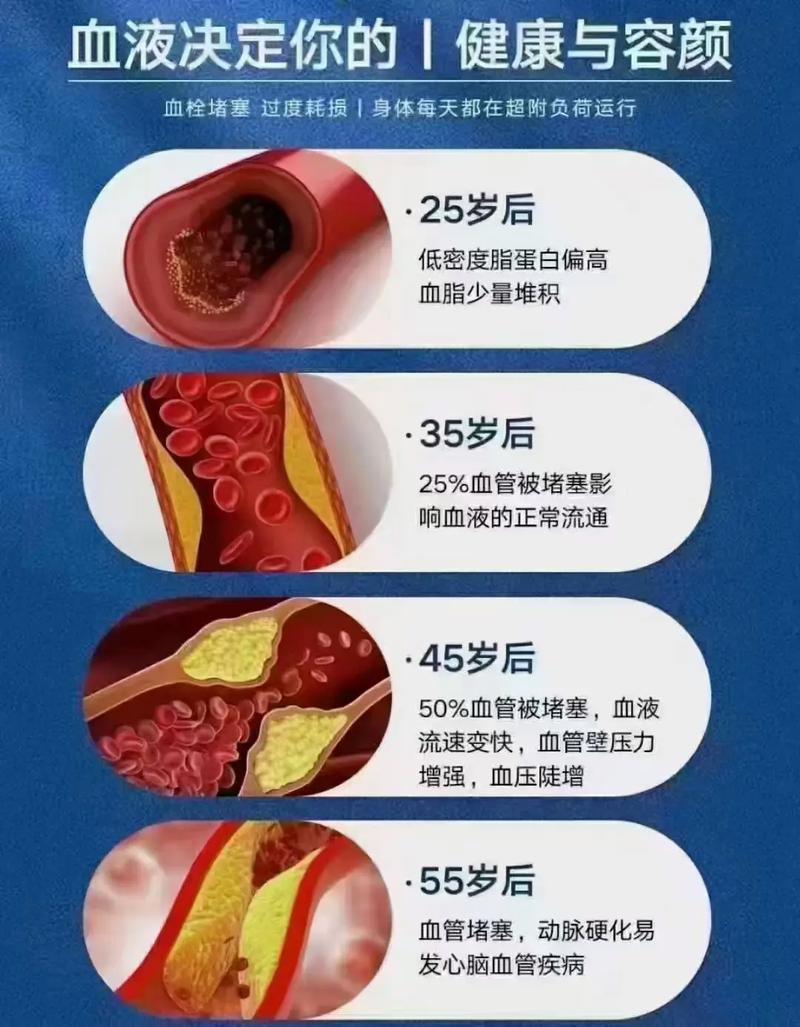 深入分析《血之根源最新版本》的游戏机制与市场反响