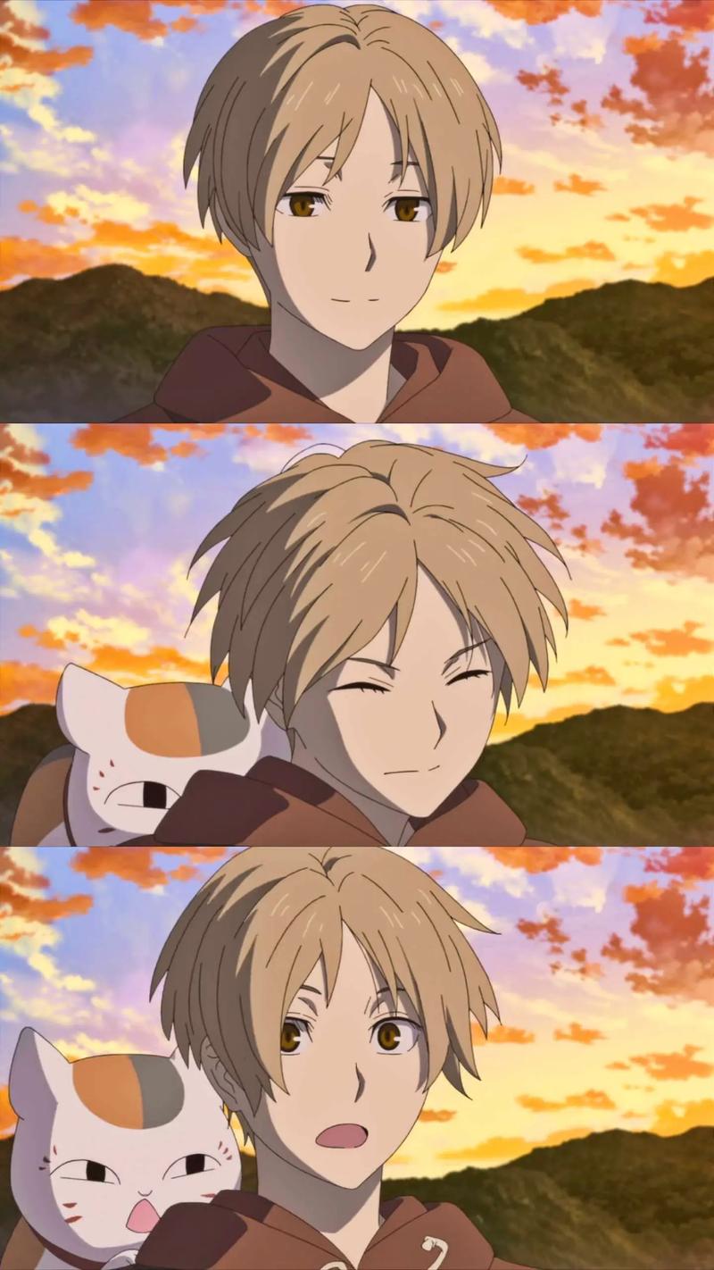 夏目友人帐安卓汉化的市场分析与玩家体验