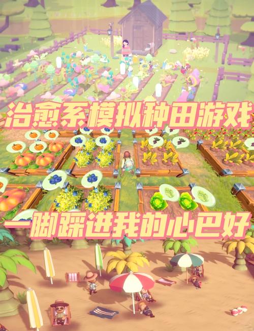 探索农耕勇者：绅士游戏中的创新与挑战