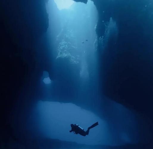 深度解析蓝洞计划：杨过游戏的创意与市场潜力