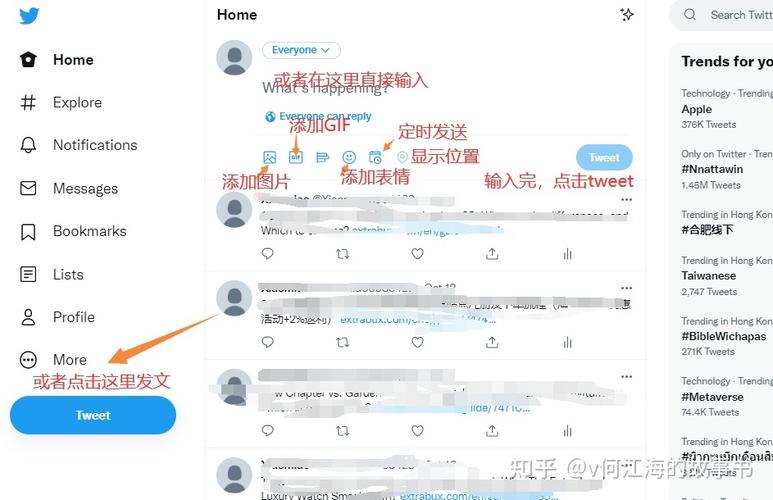 如何访问和使用推特博主Emma官方网站的详细指南
