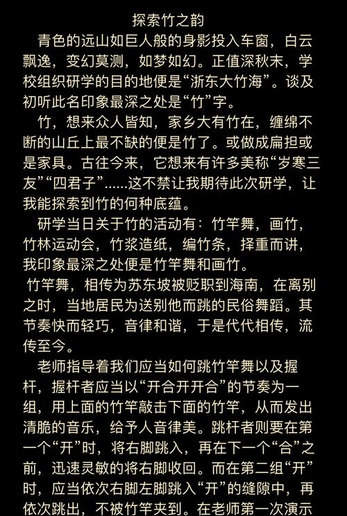 探索竹内的旅程：最新版本及其影响分析