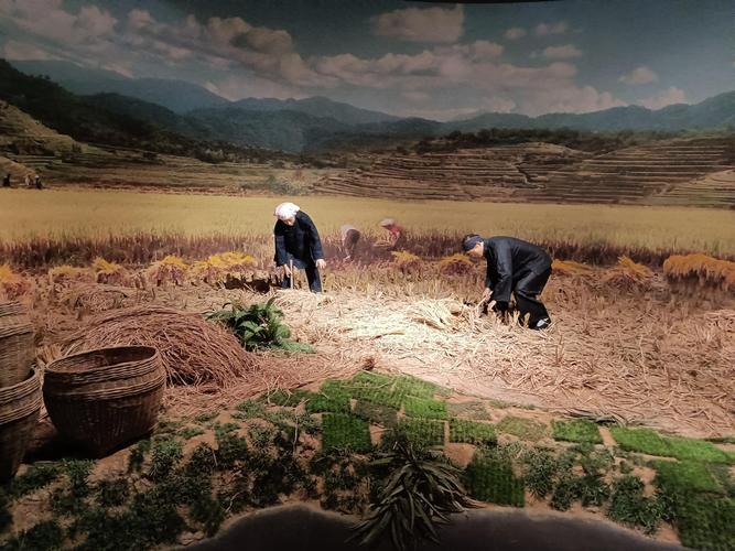 探索“农民的追求”：当代绅士游戏的新视角