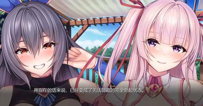 小粥姐妹的黏膜游戏攻略：新手必看详细教程