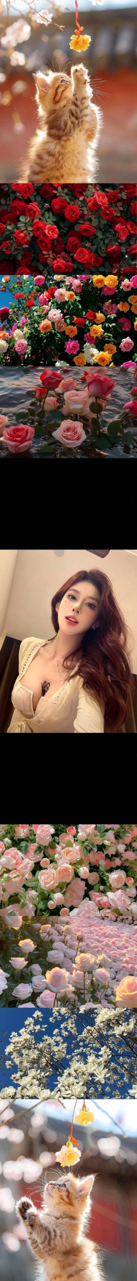 反差美女最新版本：突破传统的魅力与策略分析