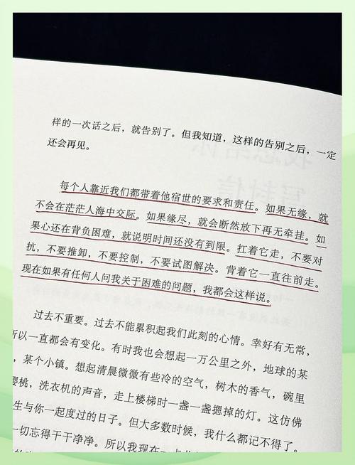 心灵旅达更新日志深度分析：游戏演进与玩家体验的变革